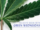 Green Wednesday Blog Shop Serra
